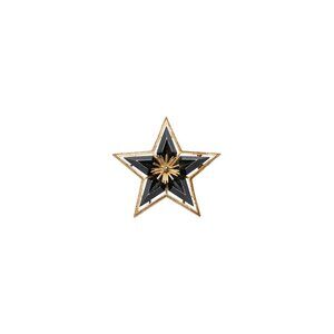 Charles Frederick Worth (France) Vintage, Brooch, Morning Star